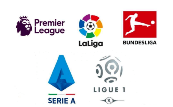 分7篮板的 分7篮板的